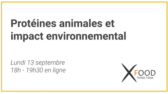 L'impact environnemental de la production de protéines animales