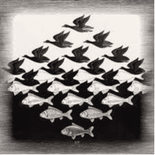 MAURITS CORNELIS ESCHER A PARIS, visite guidée 