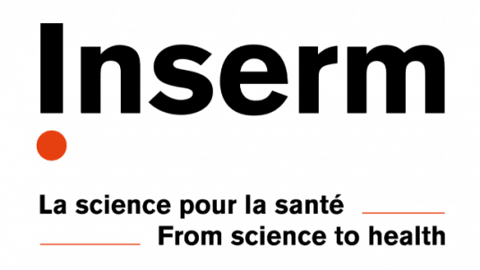 Franck Mouthon  INSERM -  Comment faire entrer la planification stratégique en santé dans les priorités du décideur 