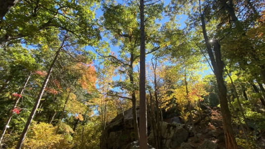 AX Boston - Randonnée et pique-nique dans les Blue Hills