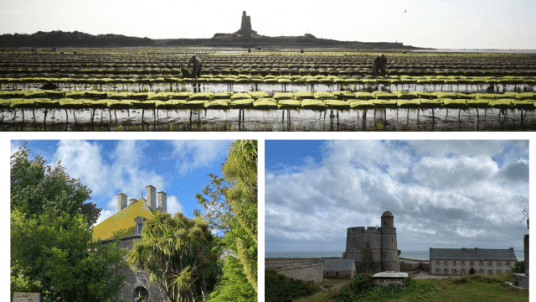 Visite des parcs ostréicoles de la Maison Hélie et séjour sur l’île de Tatihou 