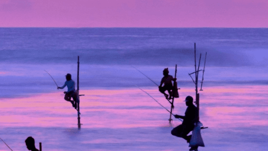 SRI LANKA, L'ILE AUX JOYAUX, du 1er au 9 avril 2026