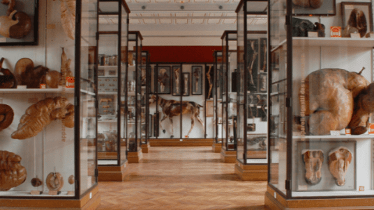 Visite guidée du Musée Fragonard
