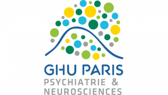 Guillaume Couillard  -  Crise de la psychiatrie  : La grande cause nationale est elle la solution ? 